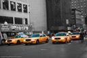 20060430-NYCabs